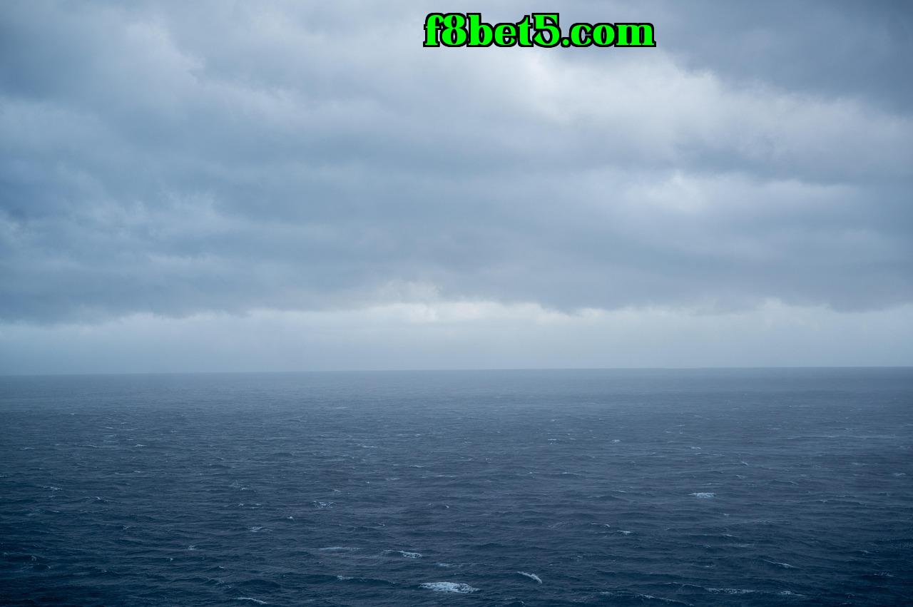 Quan sát về những bản cập nhật gần đây của trang công khai (公众号) - f8bet5.com