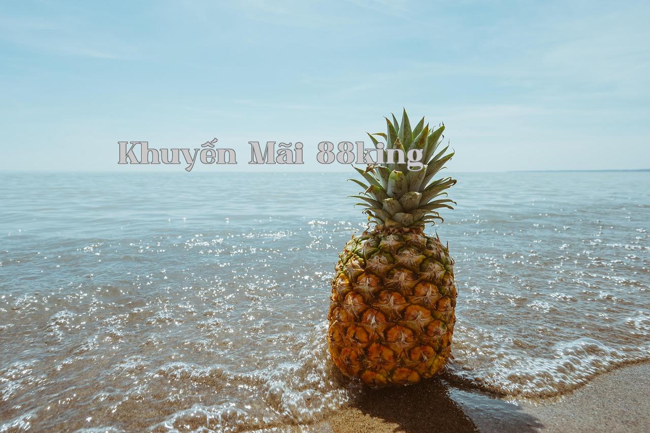 Bí Quyết Quản Lý Cuộc Sống Hiệu Quả - Khuyến Mãi 88king